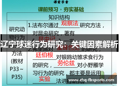 辽宁球迷行为研究:关键因素解析 辽宁球迷行为研究:关键因素解析